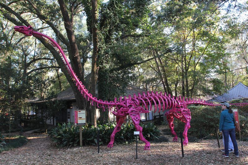A pink dinosaur skeleton is sitting in the middle of a forest.
