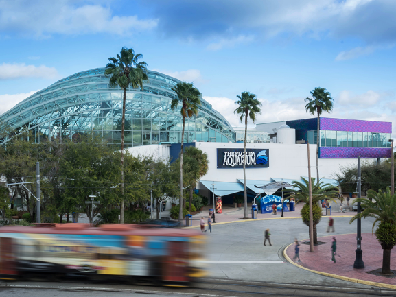 A bus is driving down a street in front of an aquarium.