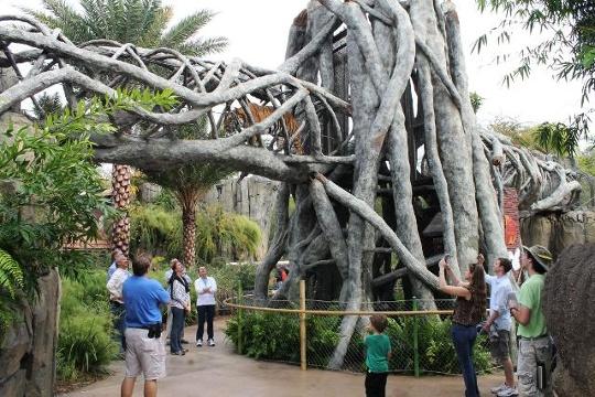 A group of people standing in front of a large tree
