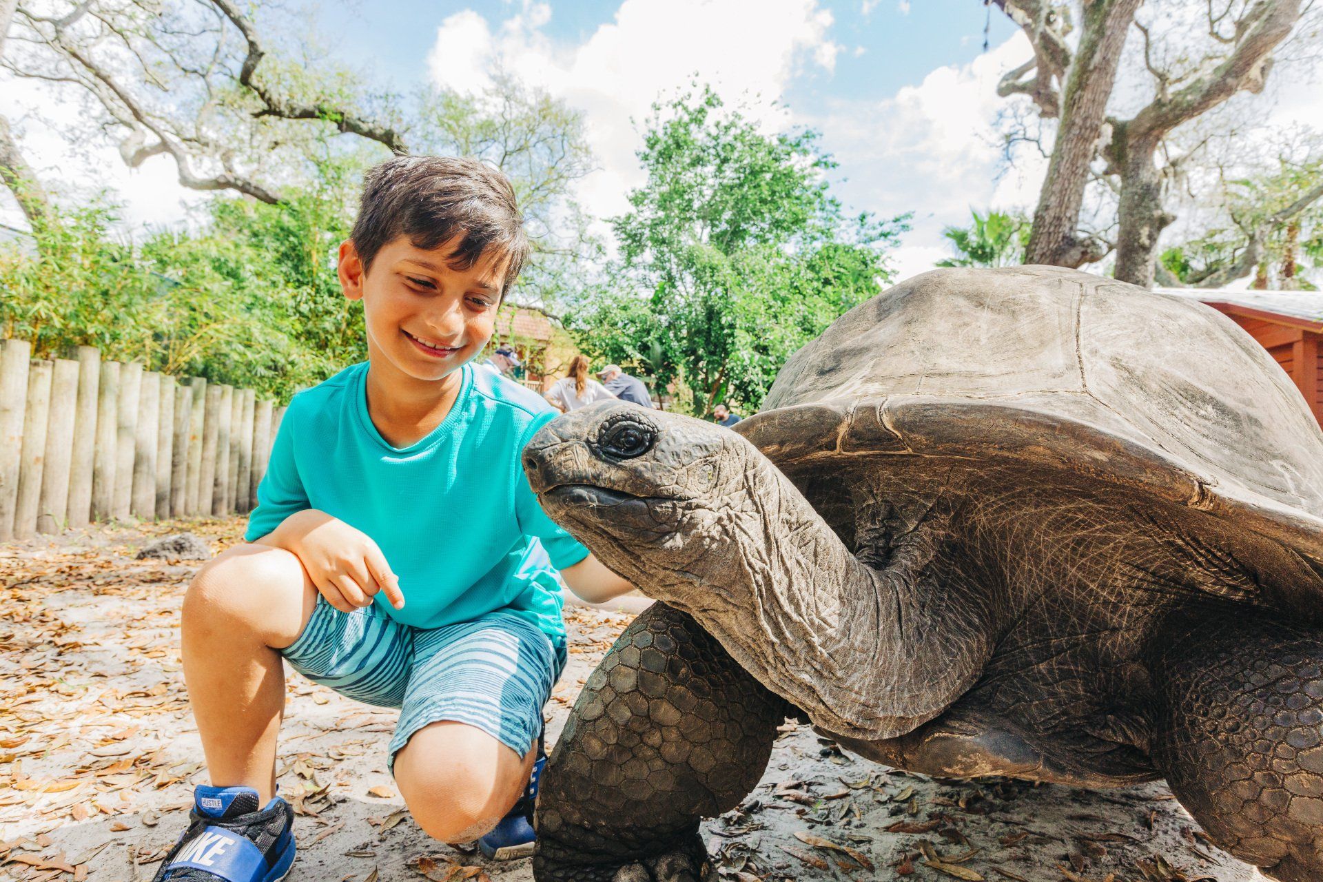 A young boy is petting a large tortoise at a zoo.
