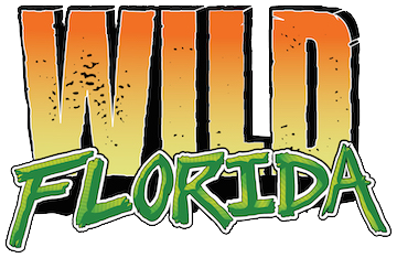 A logo for wild florida is shown on a white background.