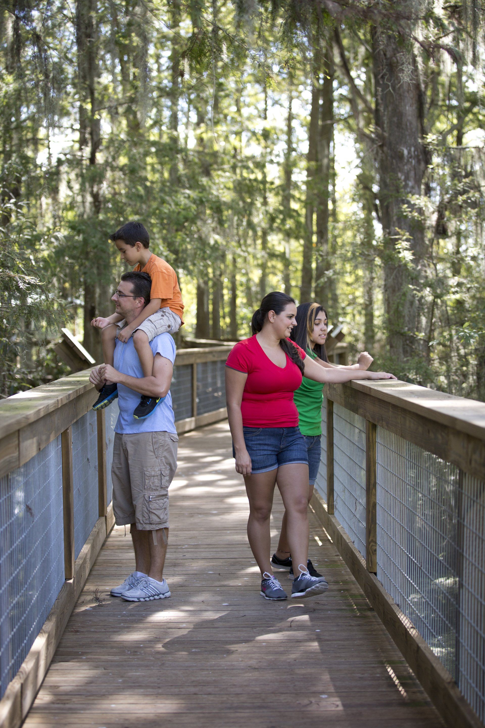 A family is walking across a wooden bridge in the woods.