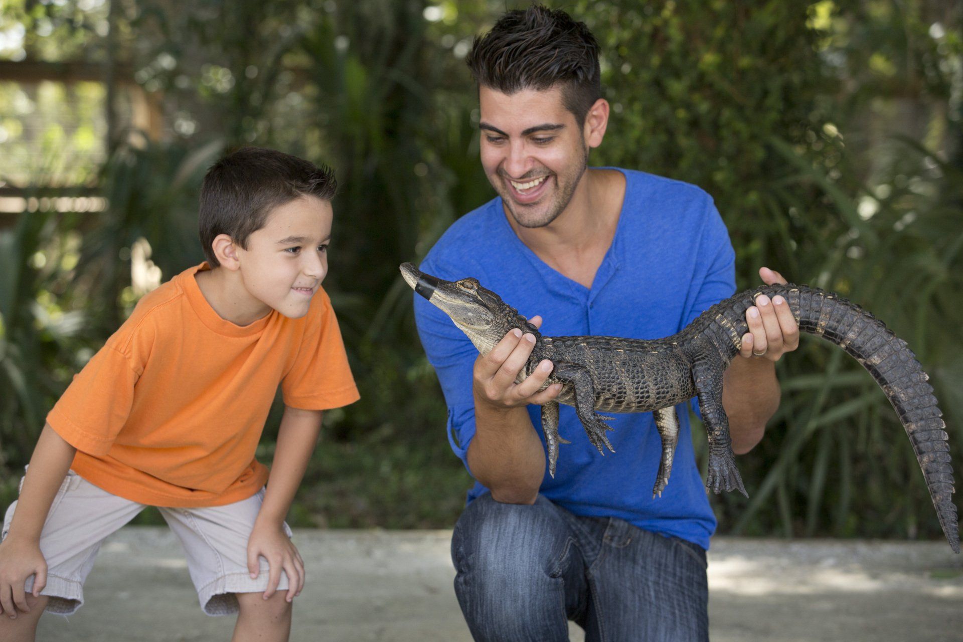 A man and a boy are holding an alligator in their hands.