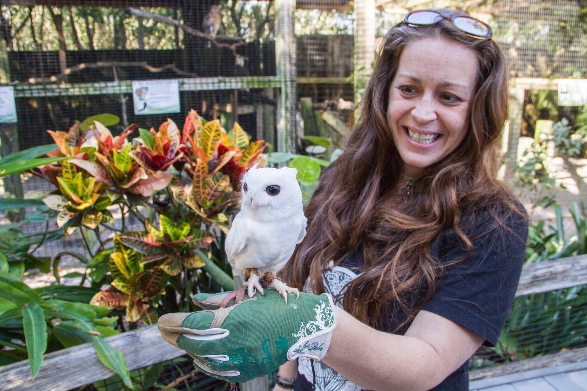 A woman is holding a white owl in her hands.