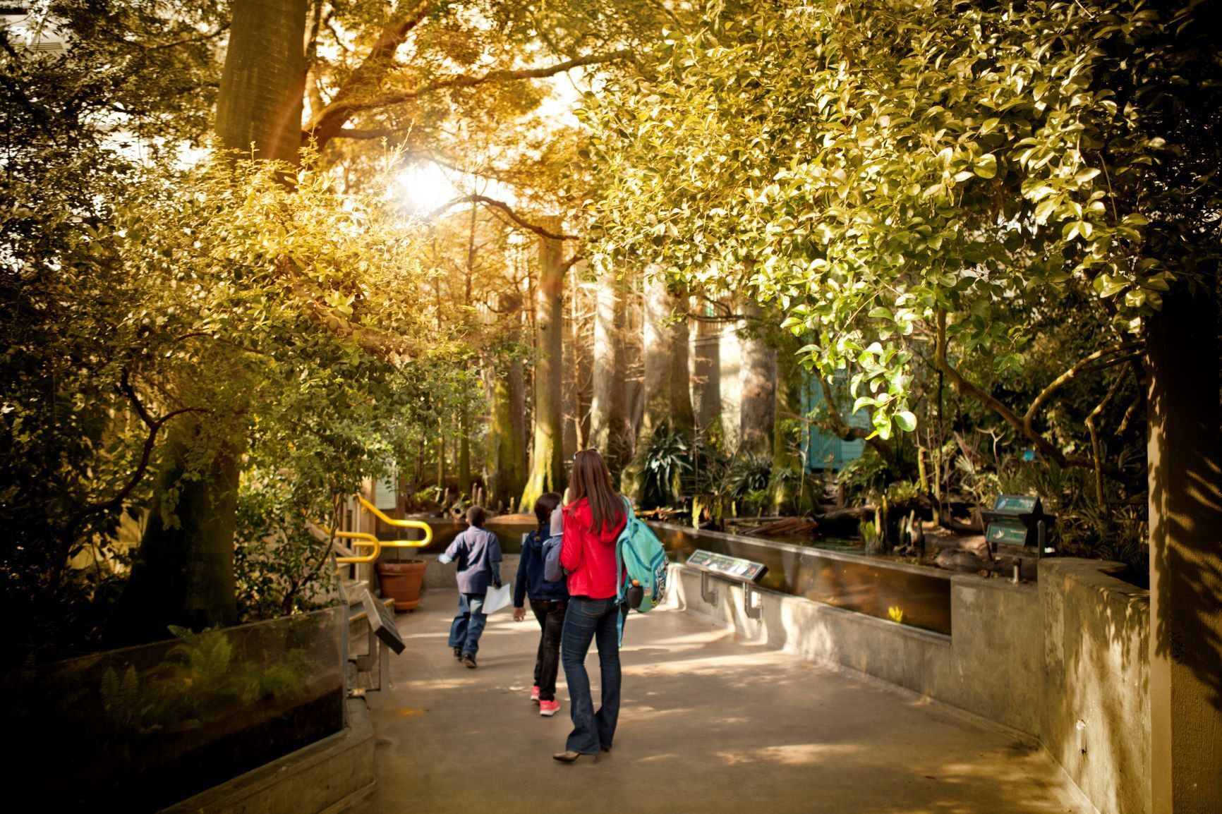 A group of people are walking down a path in a park.