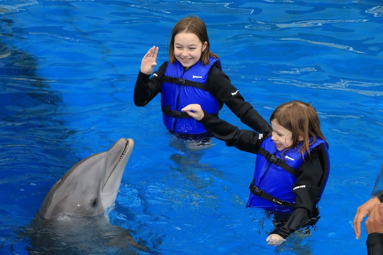 Two young girls are playing with a dolphin in a pool.