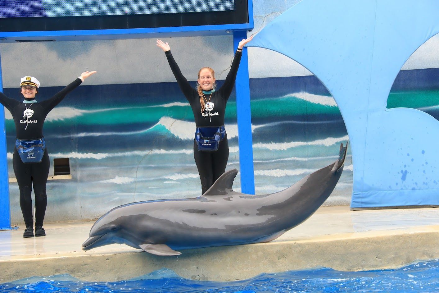 Two women standing next to a dolphin with their arms in the air
