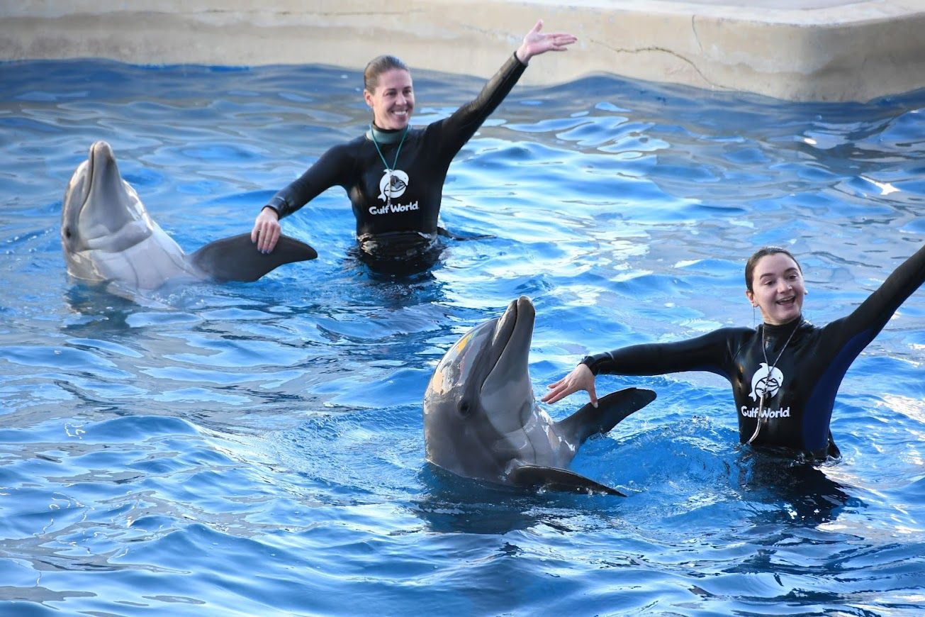 Two women are swimming with dolphins in a pool.