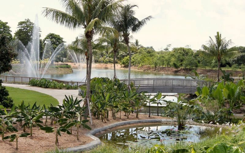 A bridge over a pond in a park with a fountain in the background