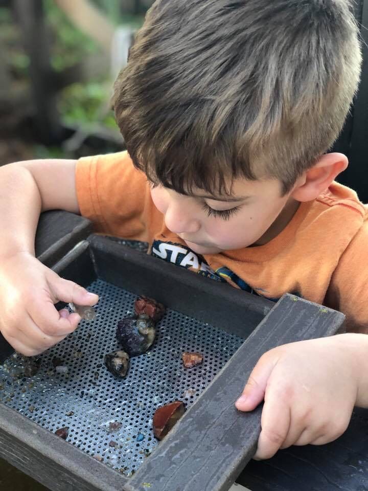 A young boy is looking at rocks in a tray.