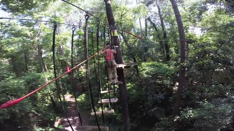 A person is walking across a rope bridge in the woods.