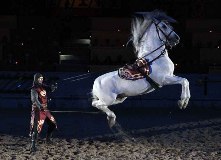 A man in a knight 's costume is riding a white horse on its hind legs
