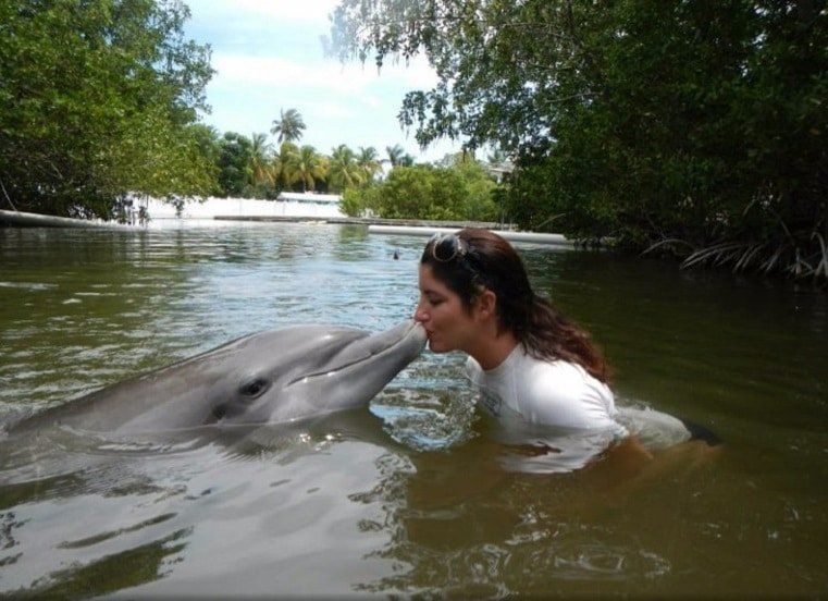 A woman is kissing a dolphin in the water
