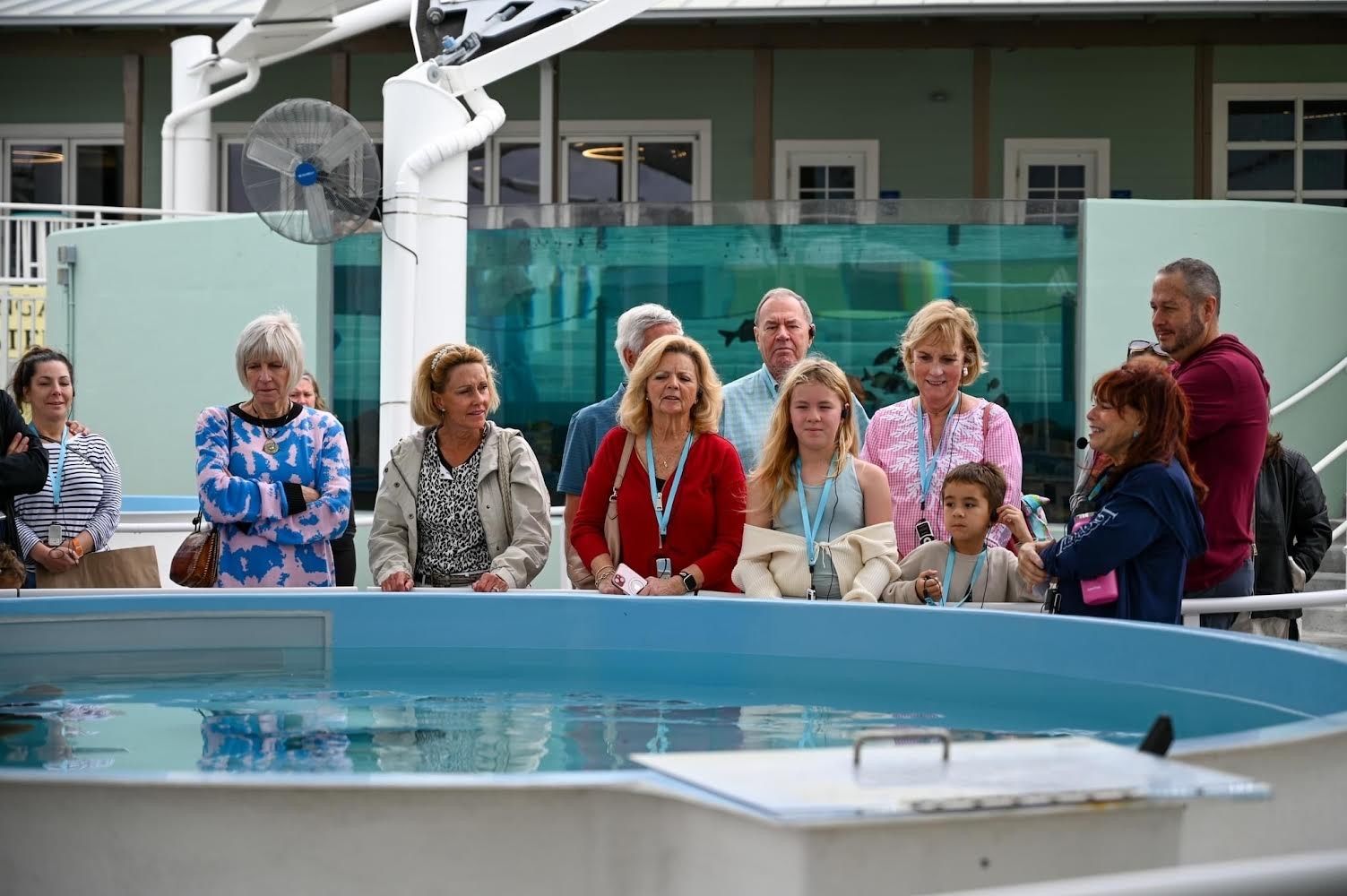A group of people are standing around a pool looking at fish.