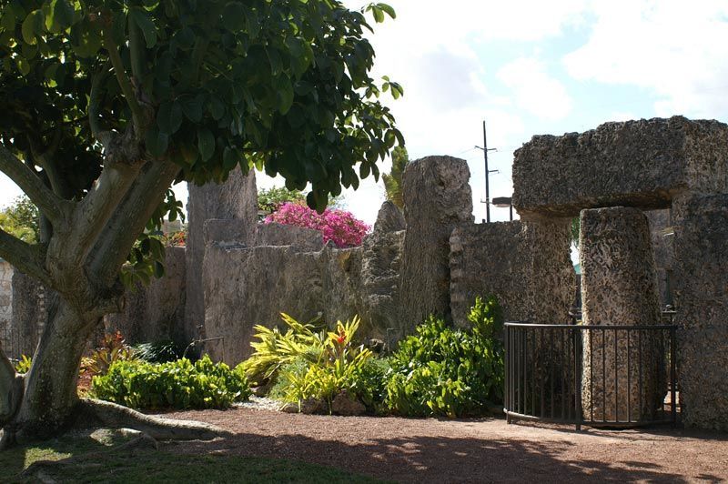 A stone wall with a tree in front of it
