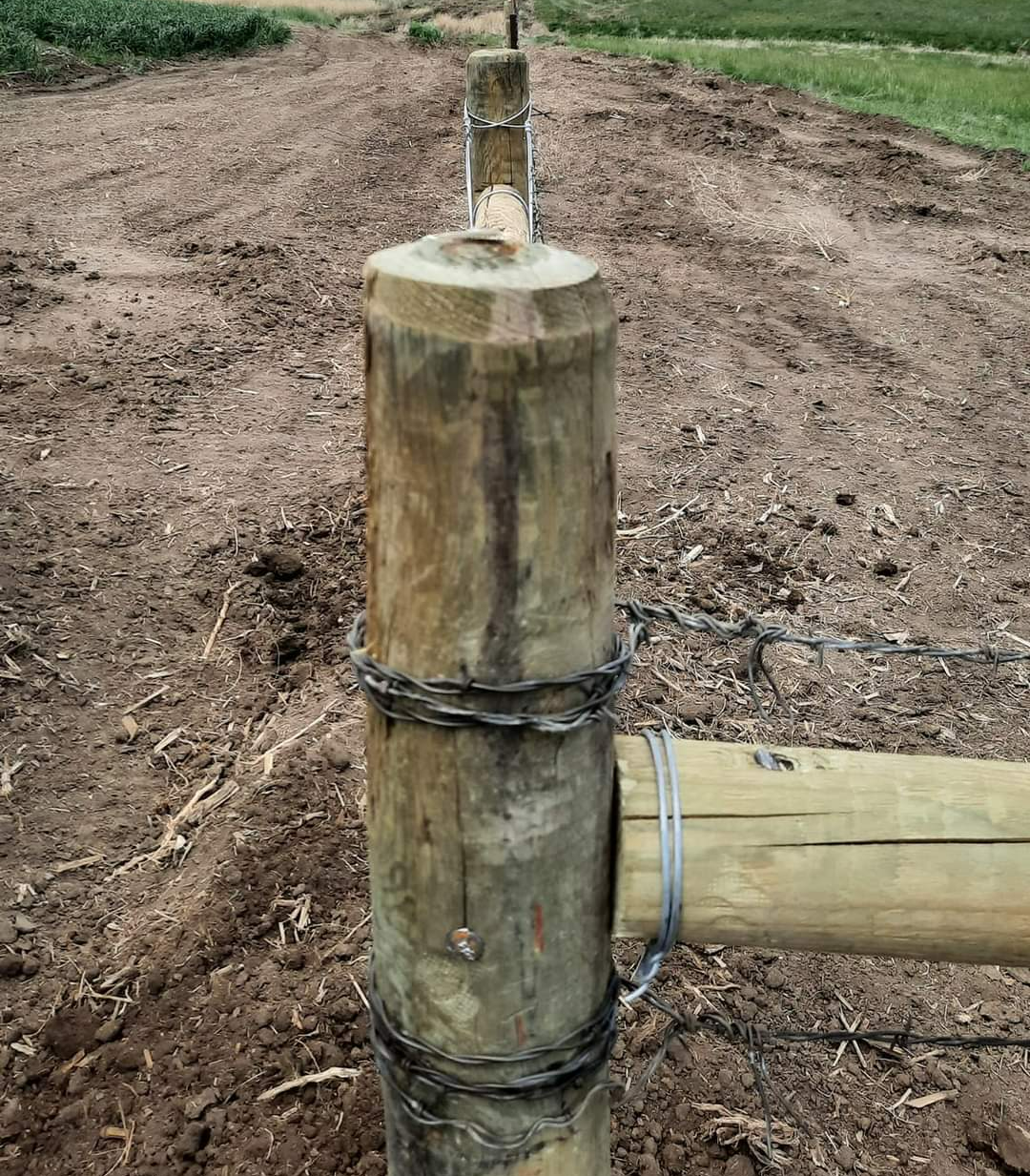 Horse Fence | Aberdeen, SD | Ludemann Fencing Horse Fence | Aberdeen, SD | Ludemann Fencing