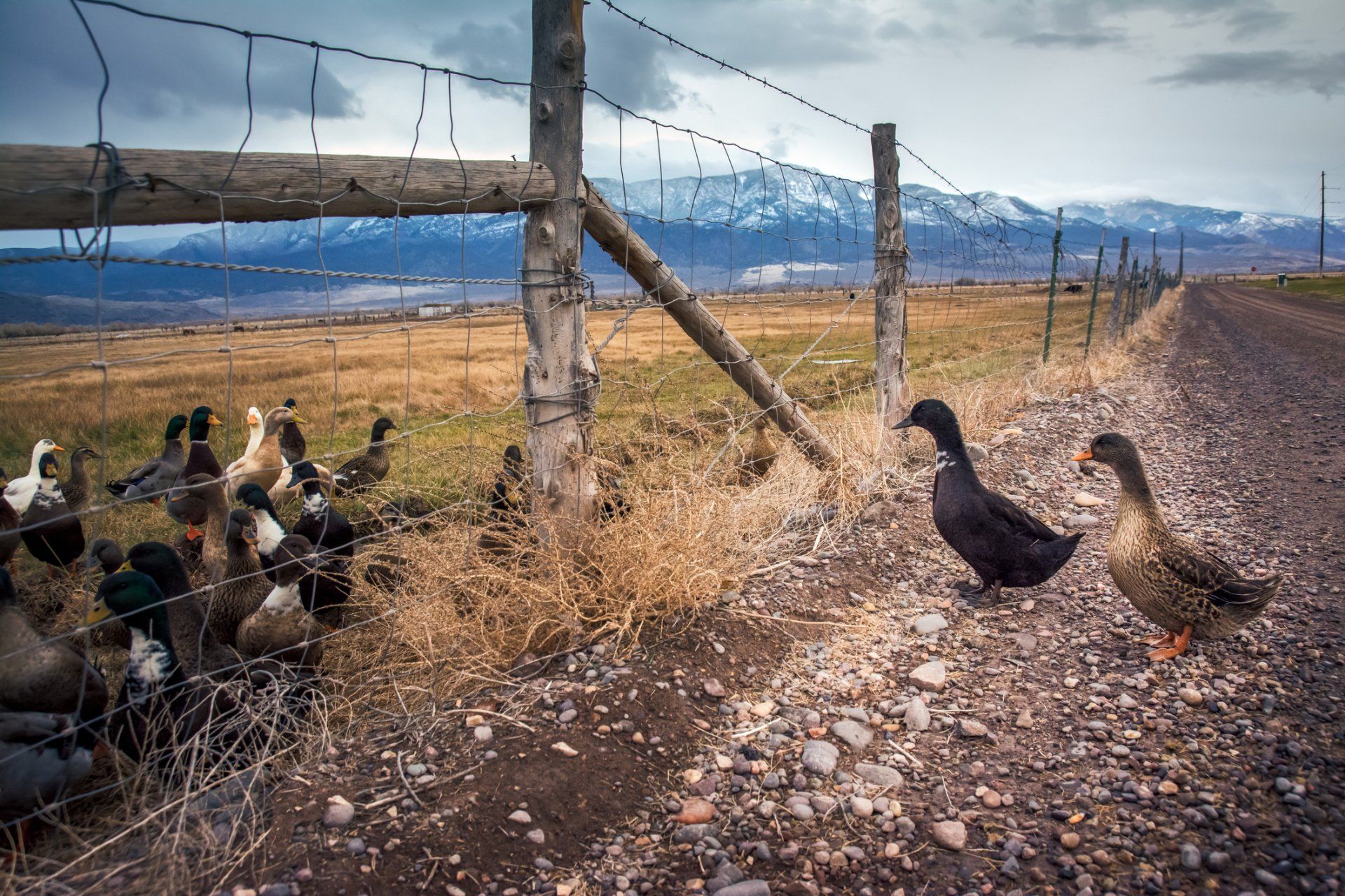 Wire Fence | Aberdeen, SD | Ludemann Fencing Wire Fence | Aberdeen, SD | Ludemann Fencing