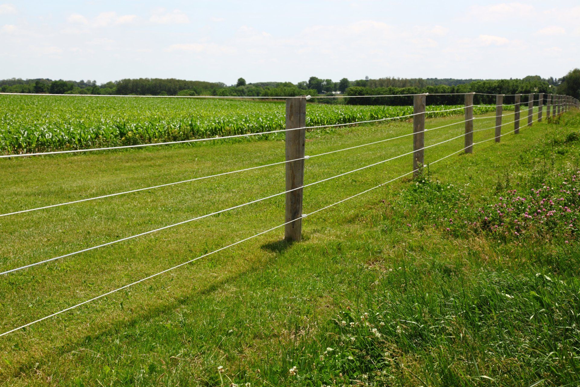 Guardrail Fence | Aberdeen, SD | Ludemann Fencing Guardrail Fence | Aberdeen, SD | Ludemann Fencing