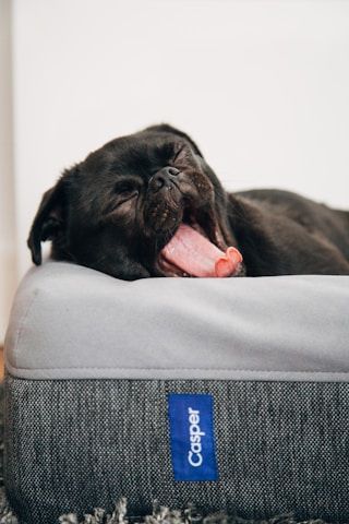 Bedtime