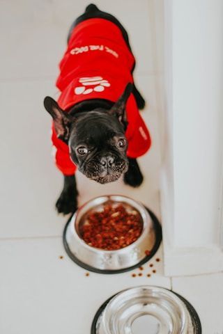 Dinnertime