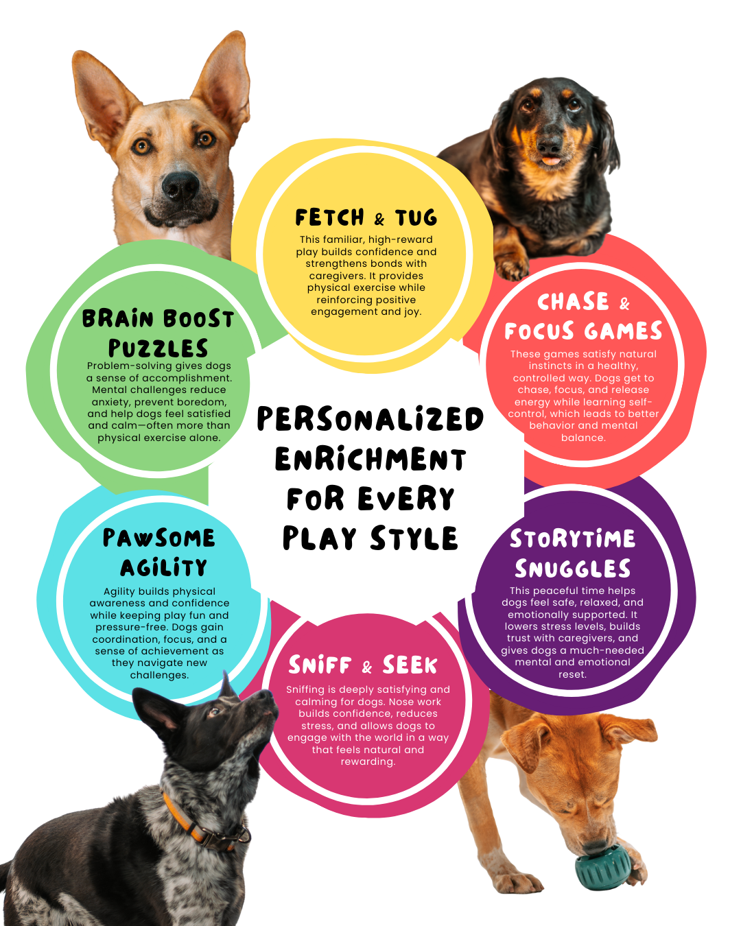 A chart showing the different enrichment offerings that we provide at tail town