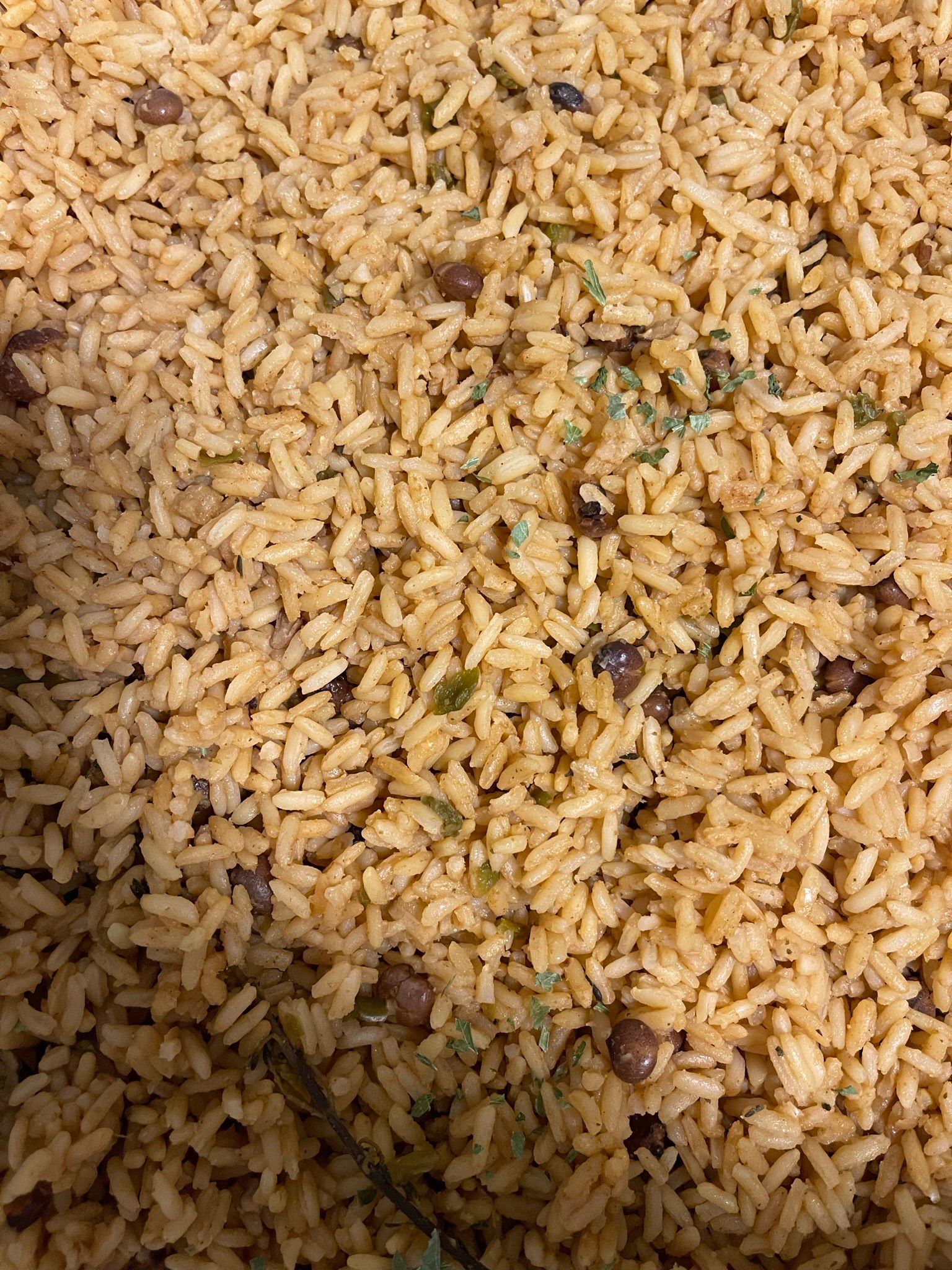 Close-up of seasoned rice with scattered green herbs and small browned bits