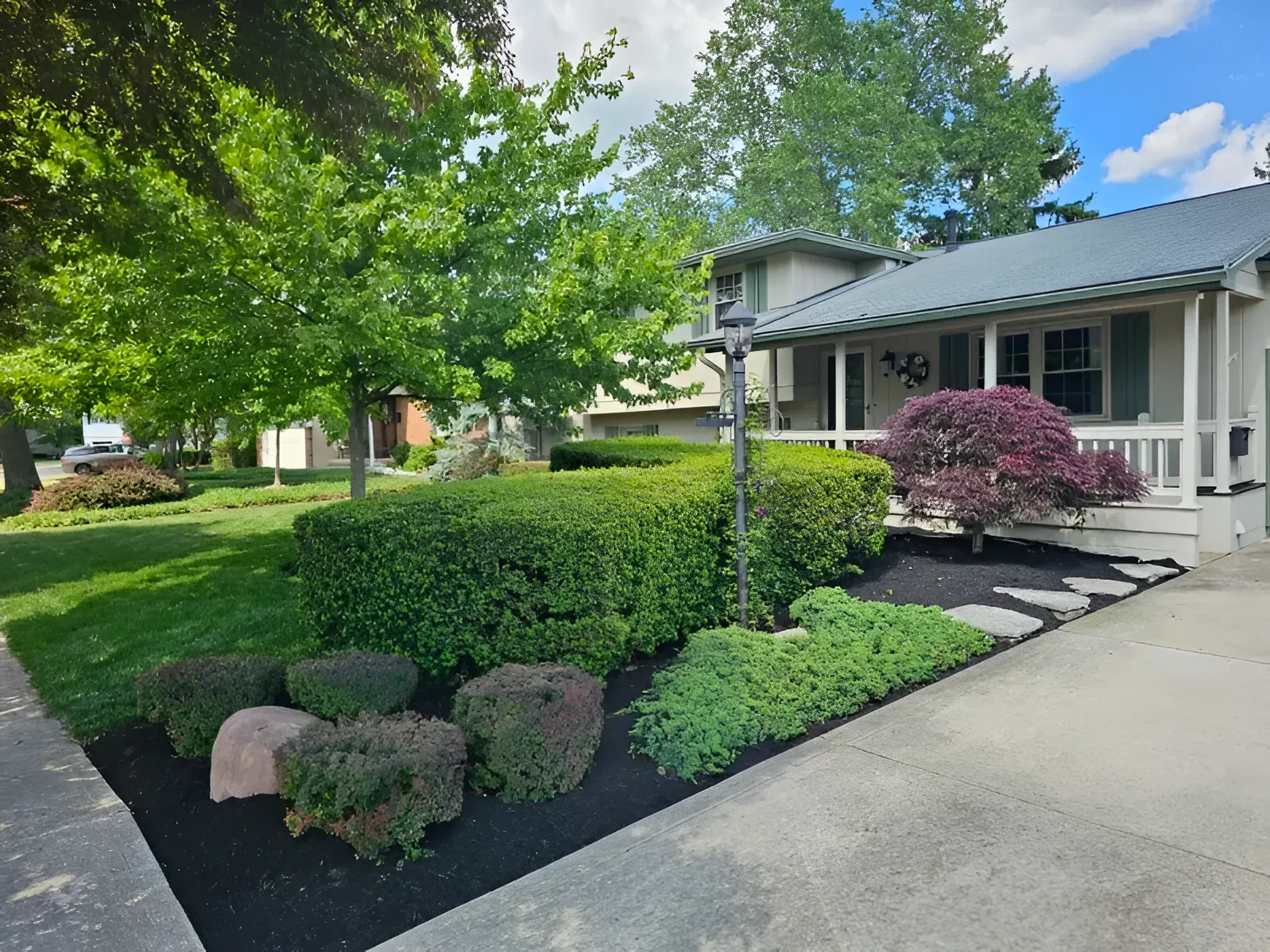 A well-manicured hedge and front yard garden with black mulch and a purple Japanese maple, bordering a house porch.