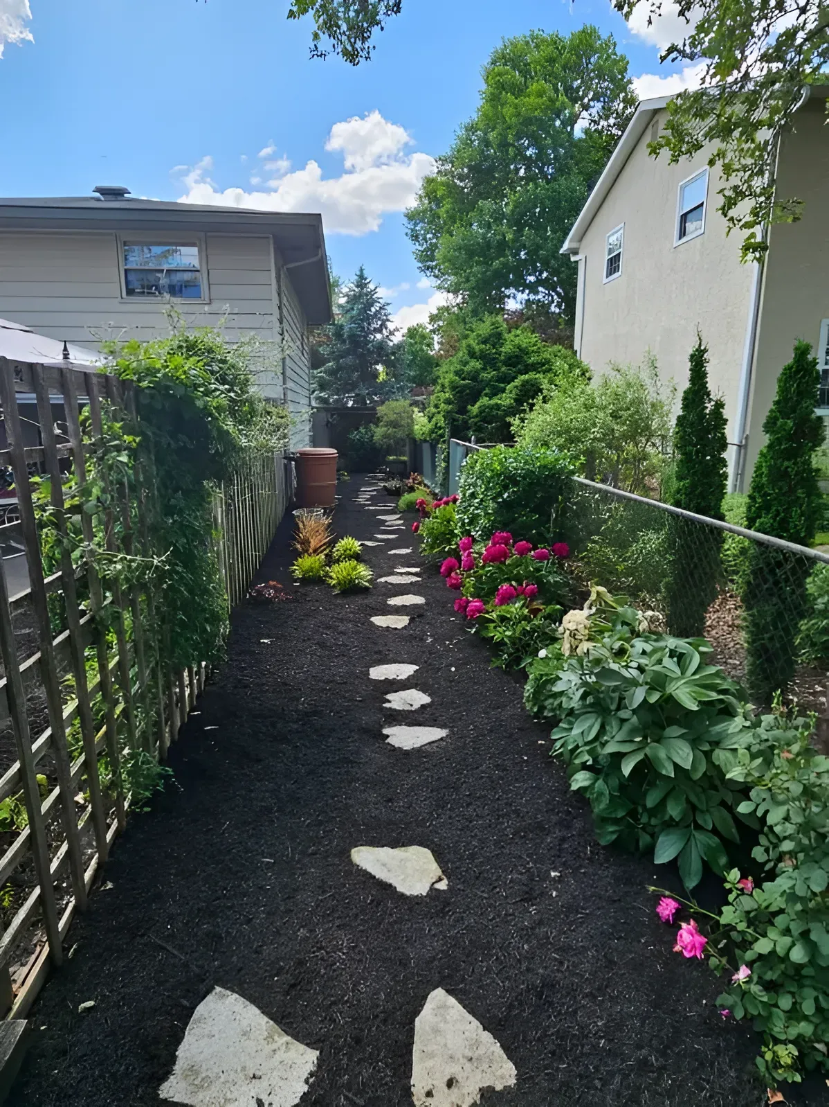A stone path winds through a garden bed mulched with dark soil, flanked by wooden lattice and lush green shrubs.