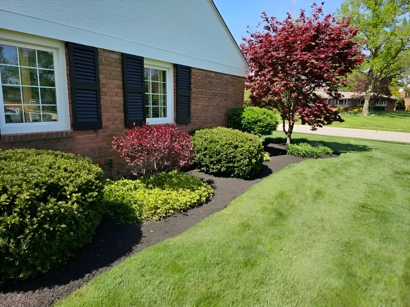 A brick house exterior with dark shutters, manicured shrubs, a red-leafed tree, and a lush green lawn.