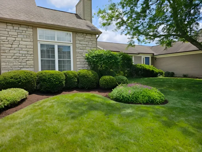 A suburban house with stone siding and tan shutters, surrounded by neatly manicured green shrubs and a lawn.