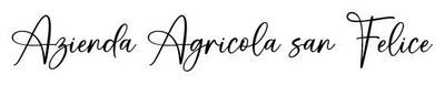 AZIENDA AGRICOLA SAN FELICE logo