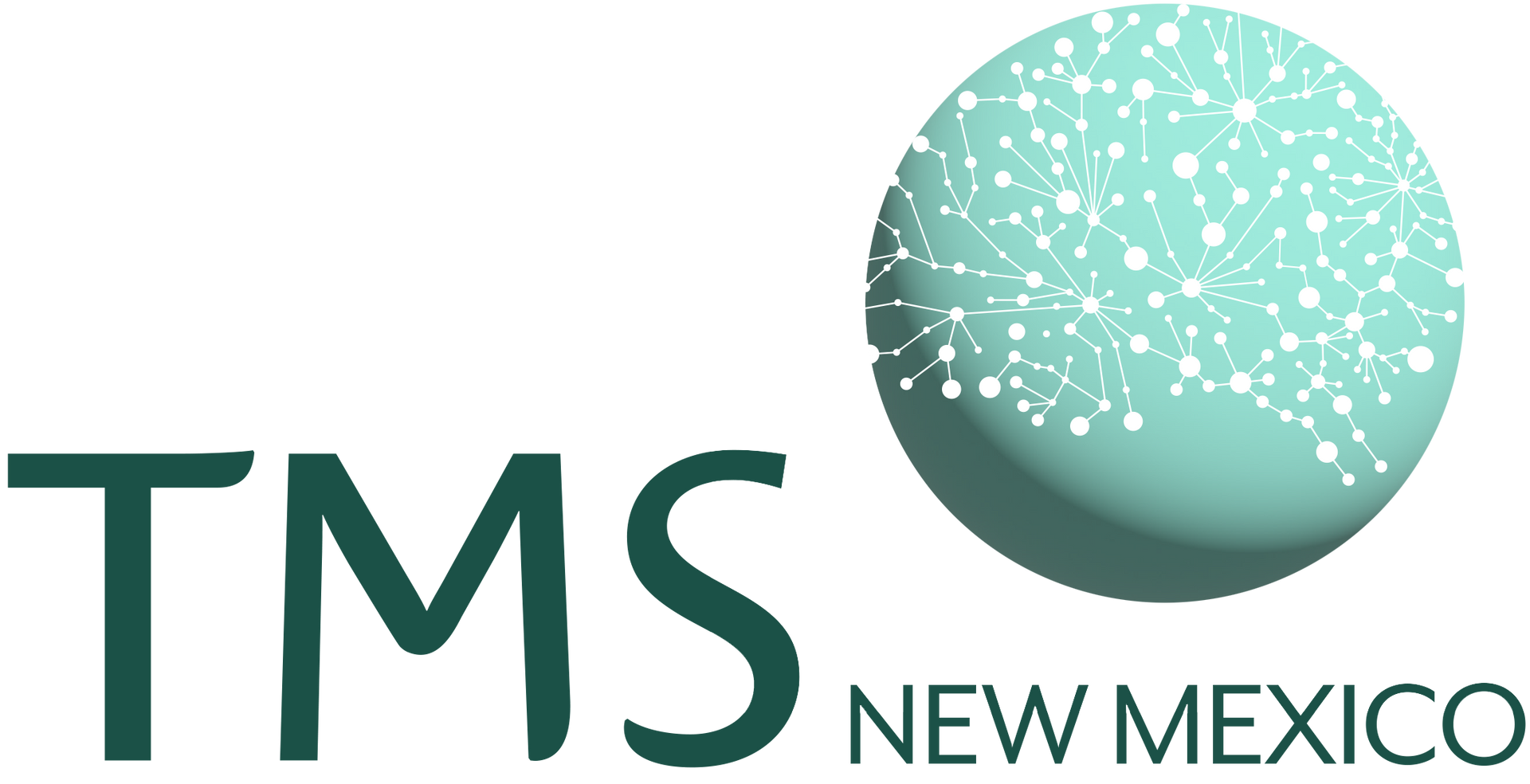 A logo for tms new mexico with a globe in the middle.