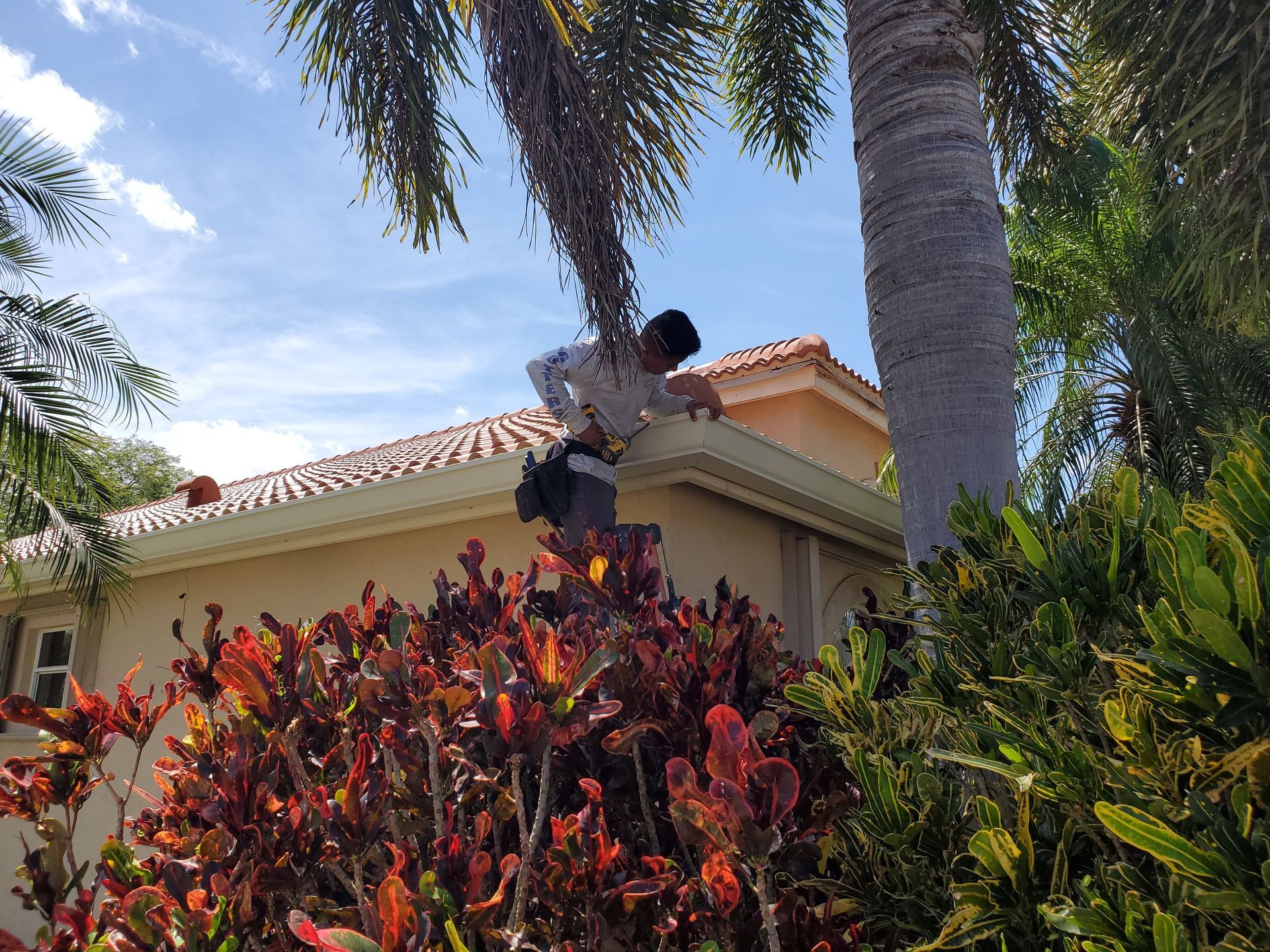 A man is sitting on the roof of a house next to a palm tree.
