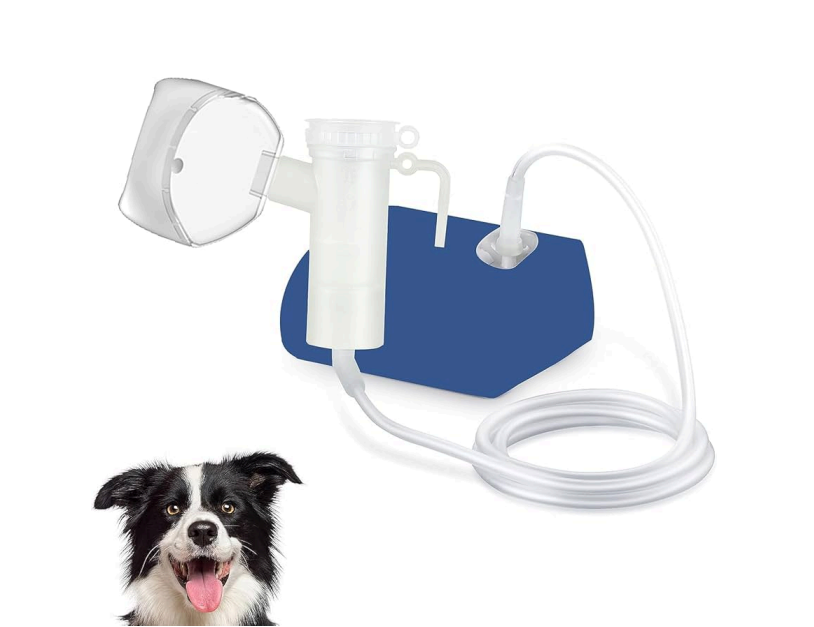 Kit de limpieza dental para perros con base azul, tubo y mascarilla.