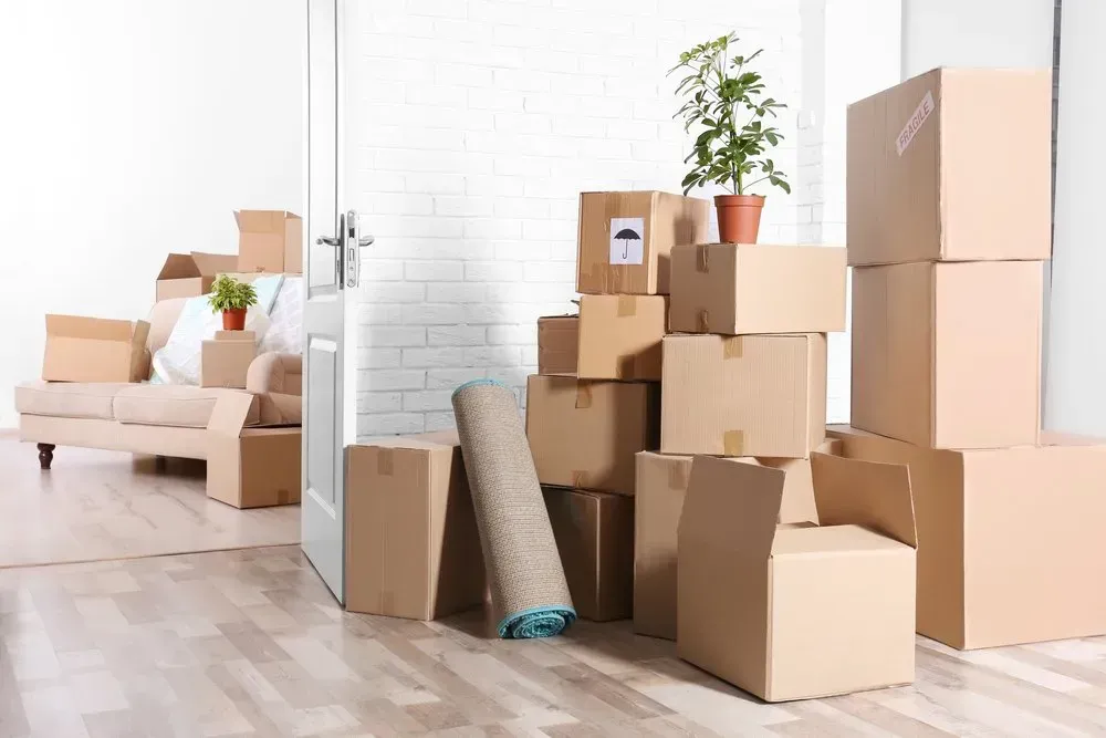 Boxes Stacked in A Room with A Couch, Rug, and Potted Plant — Barnes Transport and Removals in Wardell, NSW