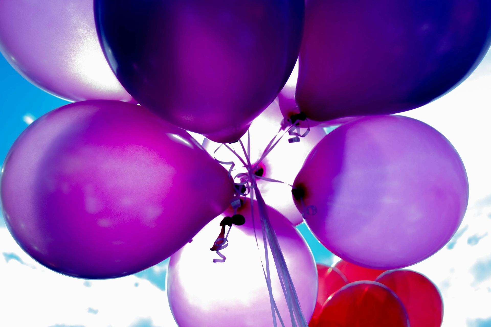 Un grupo de globos morados y rosas contra un cielo azul.
