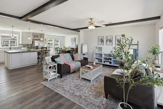 Bright open living room with gray sofa, rug, plants, and kitchen in the background