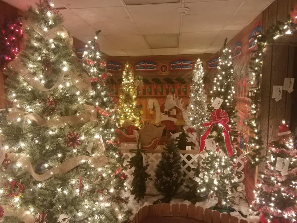 Homestead Pools and Spas Christmas Tree for sale in Salem Ohio