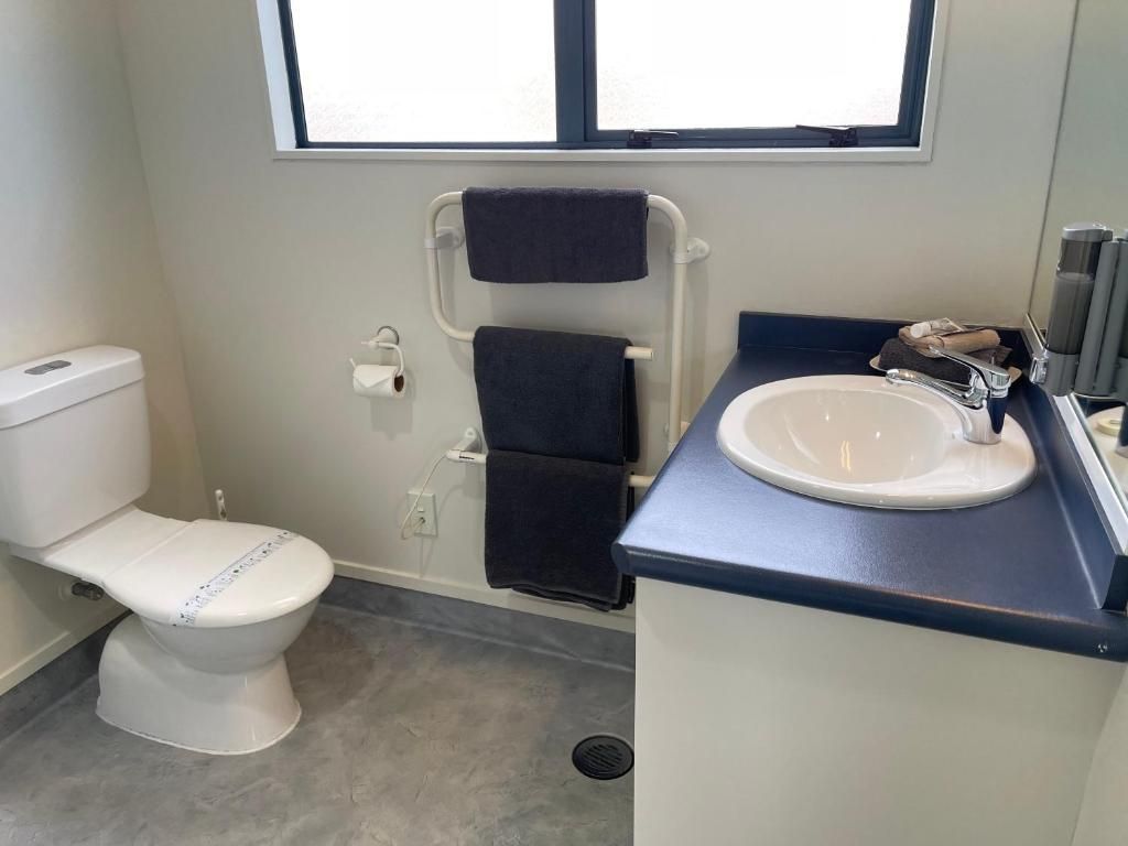 A bathroom with a toilet , sink and mirror.
