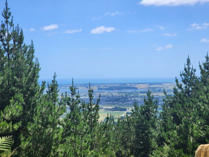 A view of a city from the top of a hill surrounded by trees.