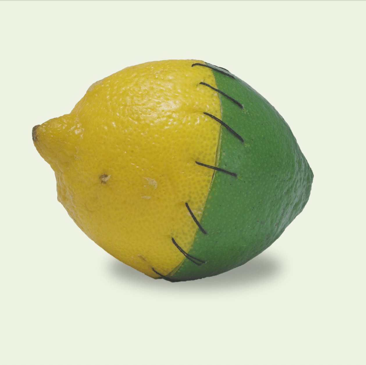 A yellow and green lemon with stitches on it