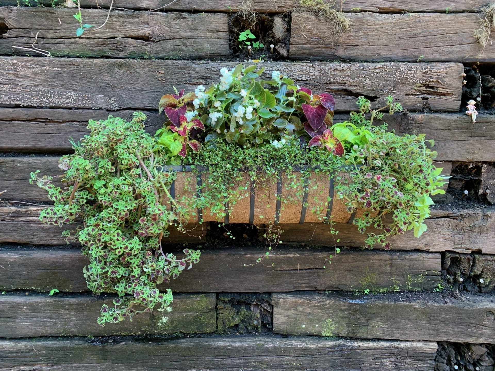 Seasonal Flower Arrangements Nashville & Franklin, TN