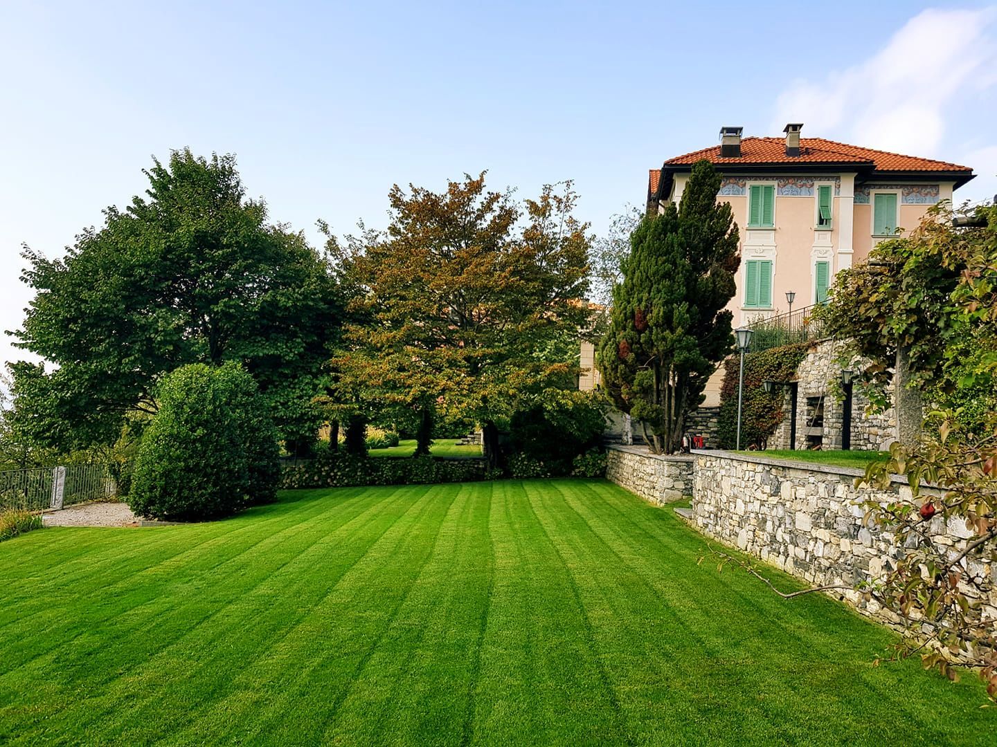 Prato verde
