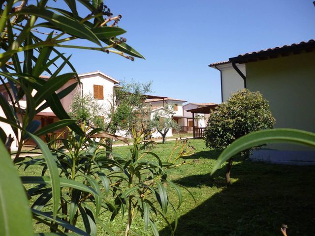 Case con muri chiari e tetti marroni in una giornata di sole, viste da un cortile erboso con piante in primo piano.