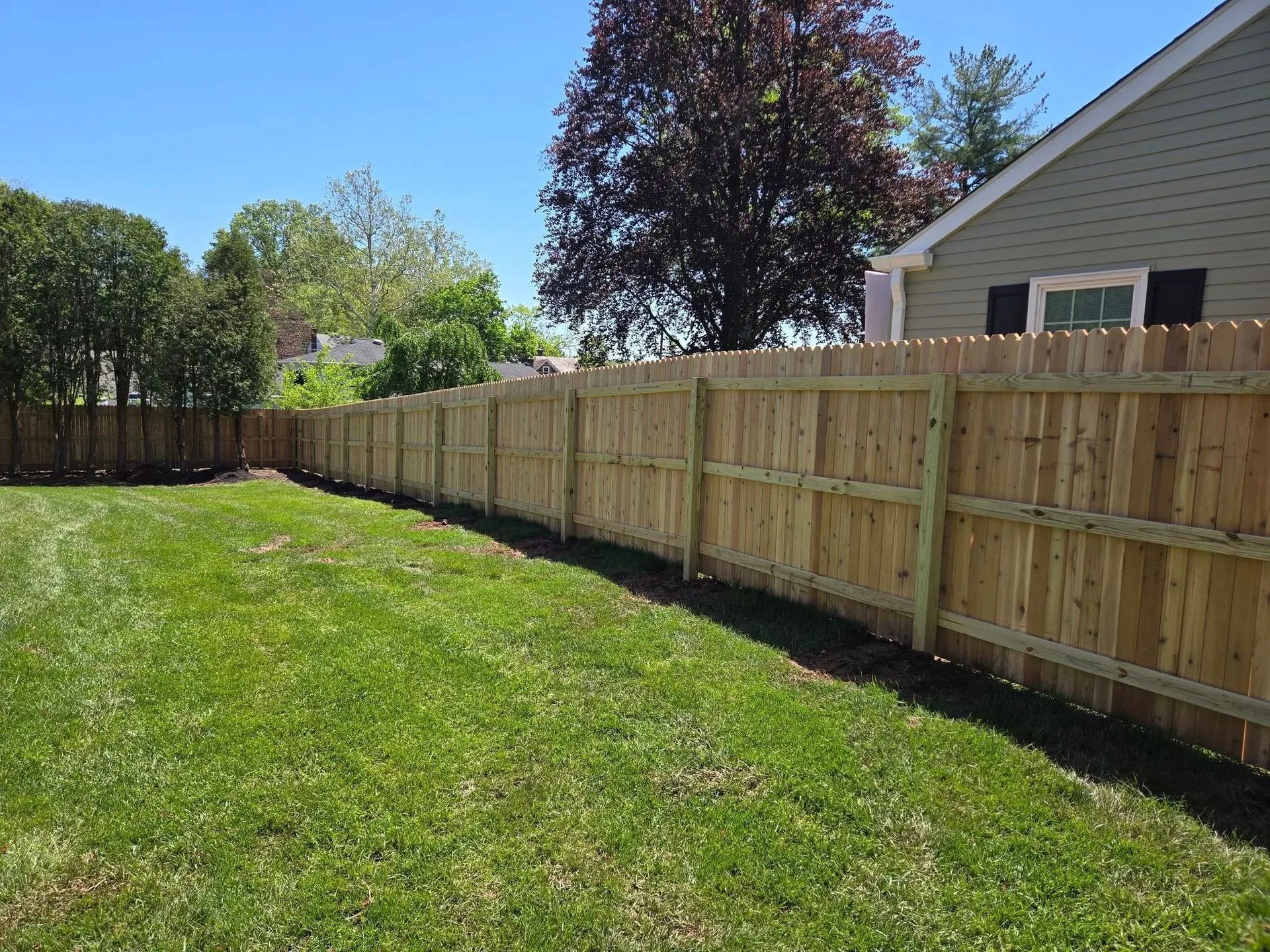Green backyard with a newly built wooden fence, on a sunny day.