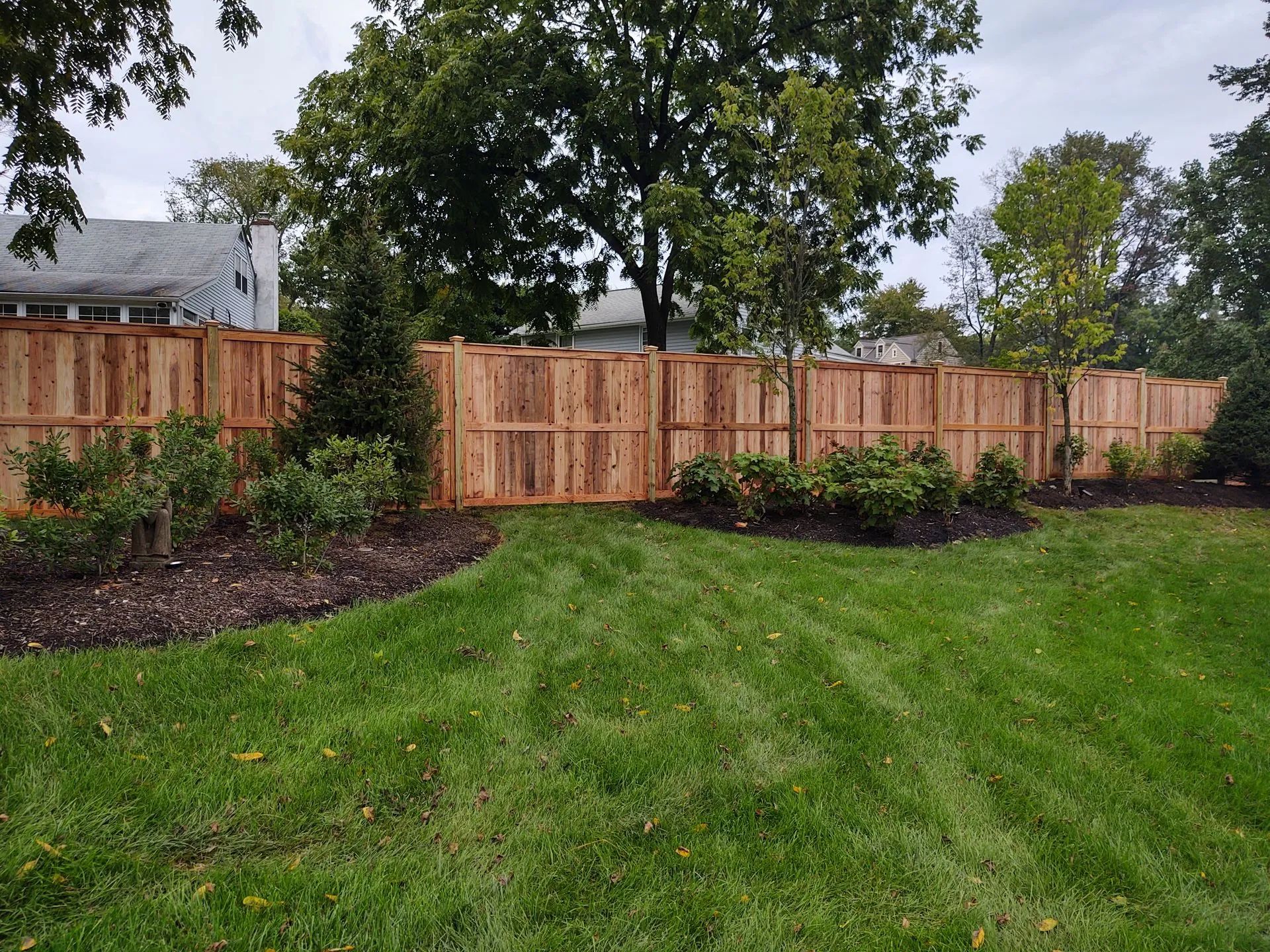 Green backyard lawn with a wooden privacy fence and trees in the background