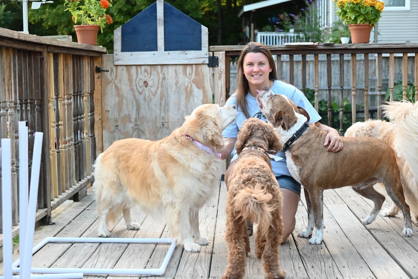 Woman kneels on wooden deck, surrounded by four dogs, smiling. Sunny outdoor setting.