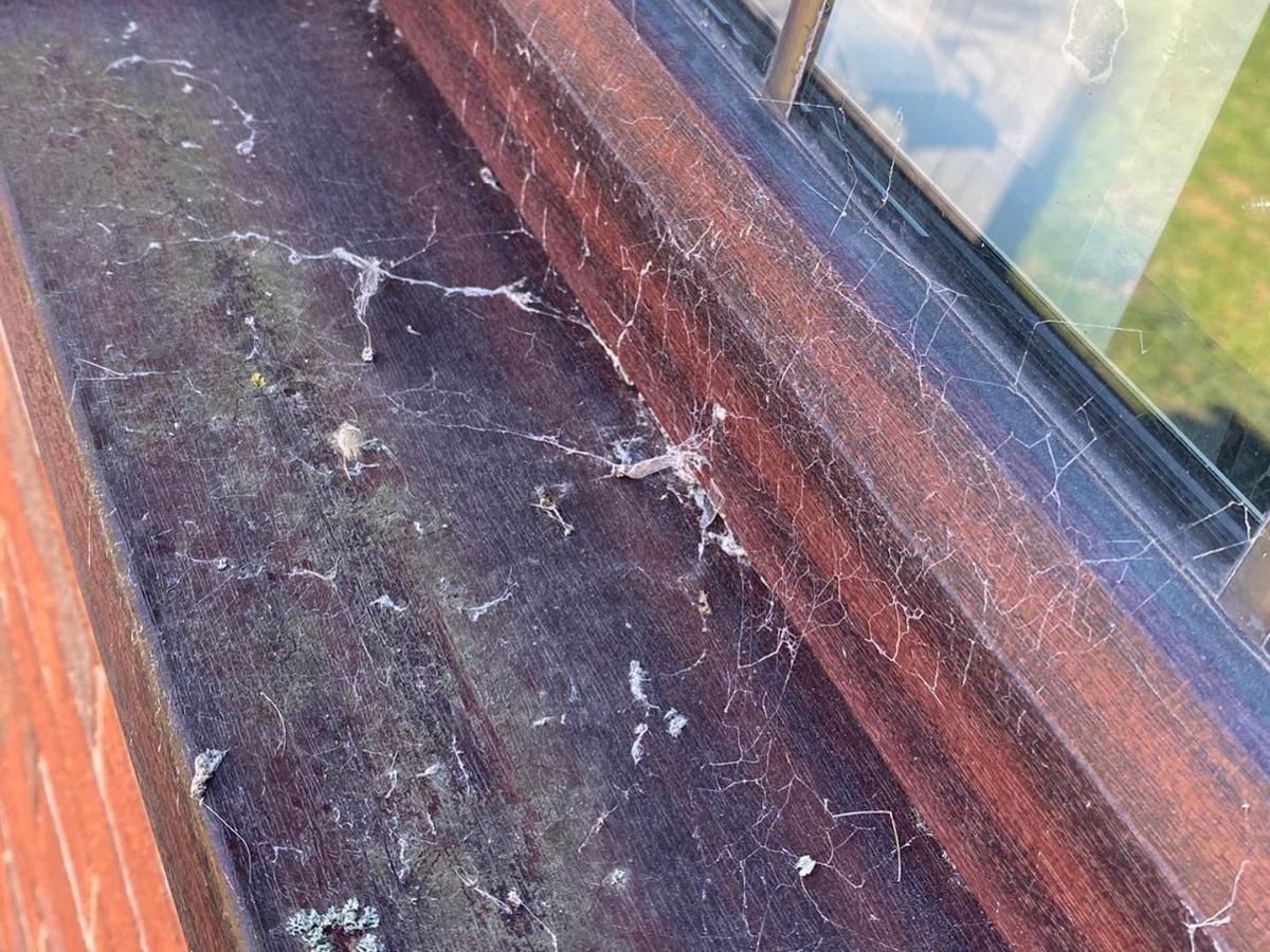 Spray Maestro before cleaning and upvc window spray painting