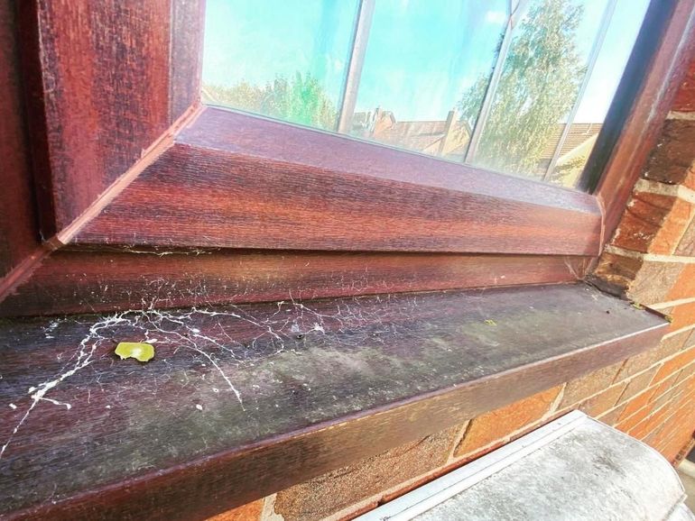 Close-up of a brown uPVC window sill in Nottingham with dirt and cobwebs before preparation