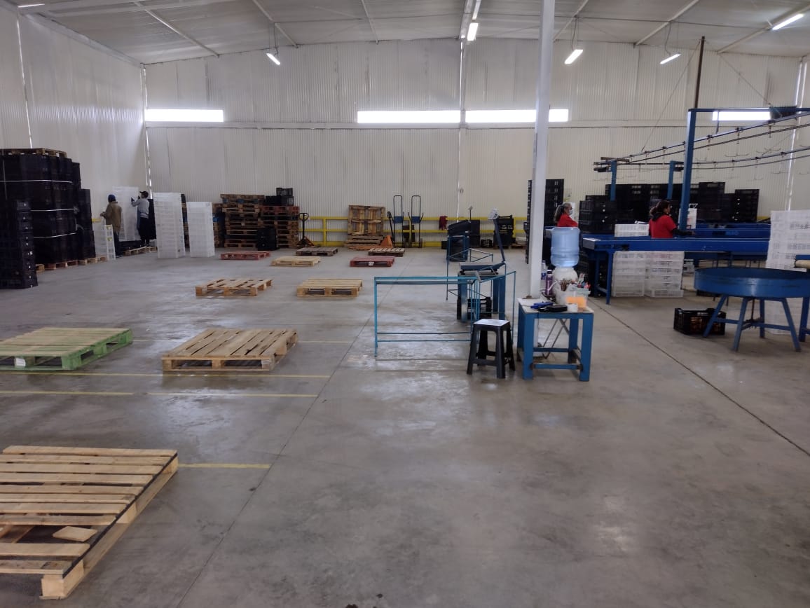 Agroindustrial Fox